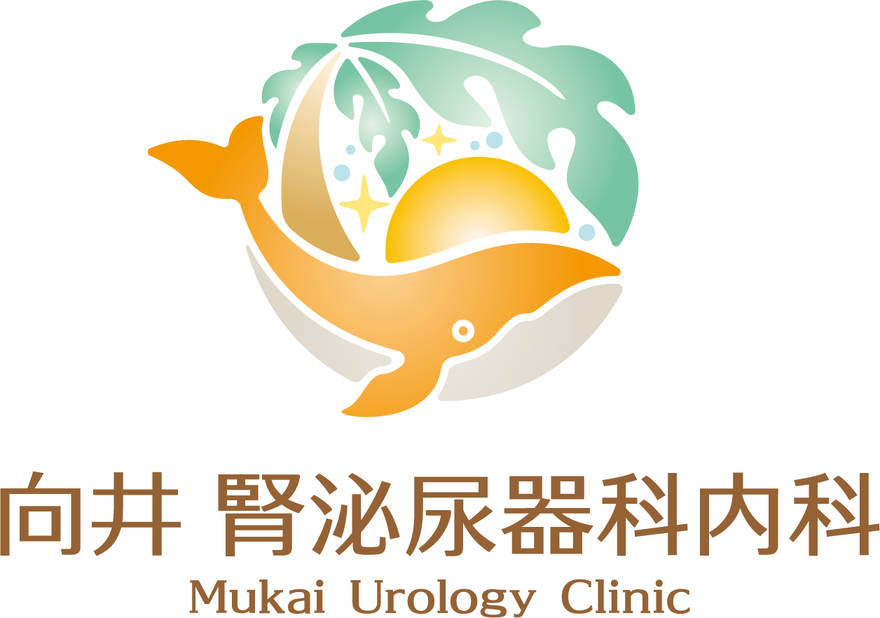 向井 腎泌尿器科内科